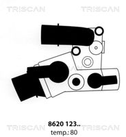 Thermostat, Kühlmittel