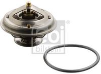 Thermostat, Kühlmittel