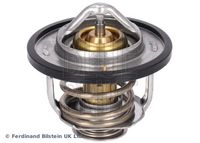 Thermostat, Kühlmittel
