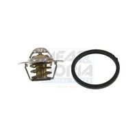 термостат, охладителна течност