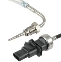Sensor, Abgastemperatur