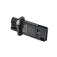 DELPHI Luchtmassameter 6