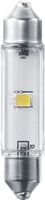 PHILIPS Gloeilamp, kentekenplaatverlichting 2