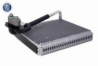 Evaporator