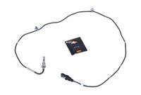 Sensor, Abgastemperatur