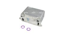 RADIATOR BATERIE DE ANTRENARE