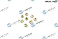 Uzgrieznis DRM03623S Dr.Motor Automotive