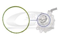 GARNITURA POMPA VACUUM
