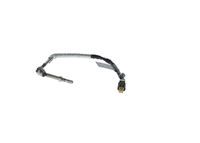 Sensor, Abgastemperatur