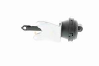 Article Picture