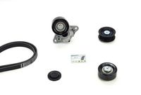 Keilrippenriemensatz