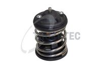 термостат, охладителна течност