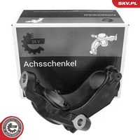 Steering Knuckle, wheel suspension