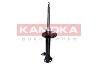 Article Picture