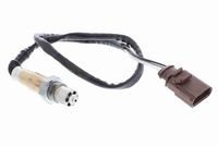 ламбда-сонда