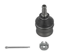 Trag-/Führungsgelenk