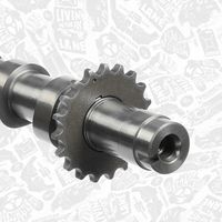 Thumbnail - Nokkenas - HV0317 - ET ENGINETEAM