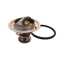 Thermostat, Kühlmittel
