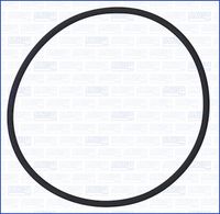 DICHTRING KRAFTSTOFFPUMPE