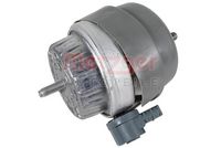 Lagerung, Motor