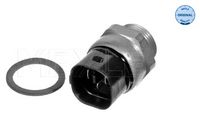 Temperature Switch, radiator fan