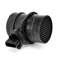 DELPHI Luchtmassameter 5