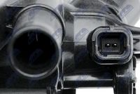 Article Picture
