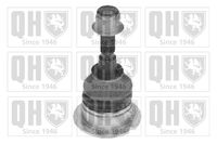 Trag-/Führungsgelenk