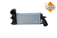 Article Picture