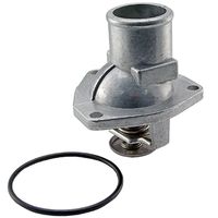 Thermostat, Kühlmittel