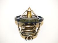 термостат, охладителна течност