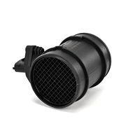 DELPHI Luchtmassameter 5