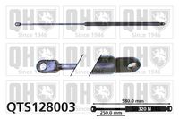 Gasfeder, Koffer-/Laderaum