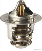 Thermostat, Kühlmittel