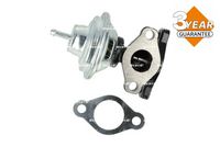 Article Picture
