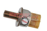 Sensor, Kraftstoffdruck