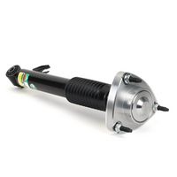 Amortizor Arnott, Cod: SK-3606