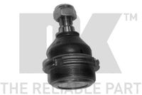 Trag-/Führungsgelenk