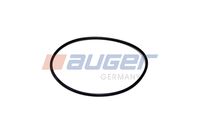 Seal Ring, steering knuckle