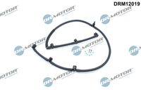 Schlauch, Leckkraftstoff Schlauch, Leckkraftstoff