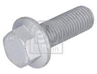 Schraube, Bremssattel