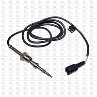 Sensor, Abgastemperatur