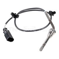 Sensor, Abgastemperatur