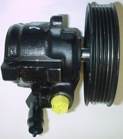 Hydraulikpumpe, Lenkung