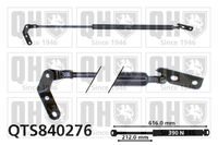 Gasfeder, Koffer-/Laderaum