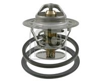 Thermostat, Kühlmittel