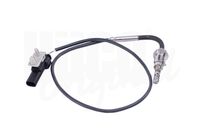 Sensor, Abgastemperatur