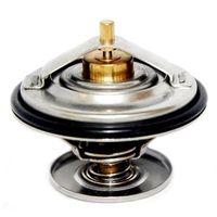 Thermostat, Kühlmittel