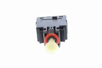 Article Picture
