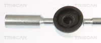 Article Picture
